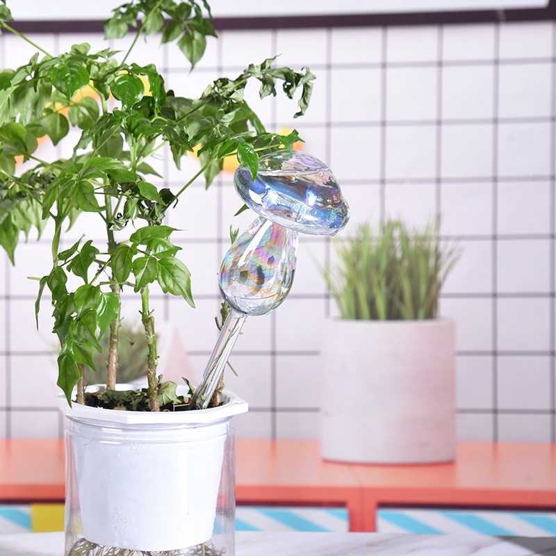 1/2PCS แก้วฟางพืชรดน้ําอัตโนมั - Smart Garden Herb บทวิจารณ์และราคา